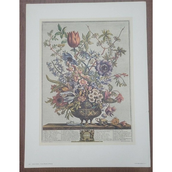 Rob Furber Gardiner At Kensington 1730 H. Fletcher "February" Month Of Flowersm.
